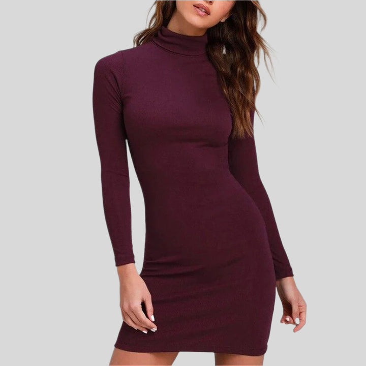 Stilvolles Rollkragenkleid | Mini