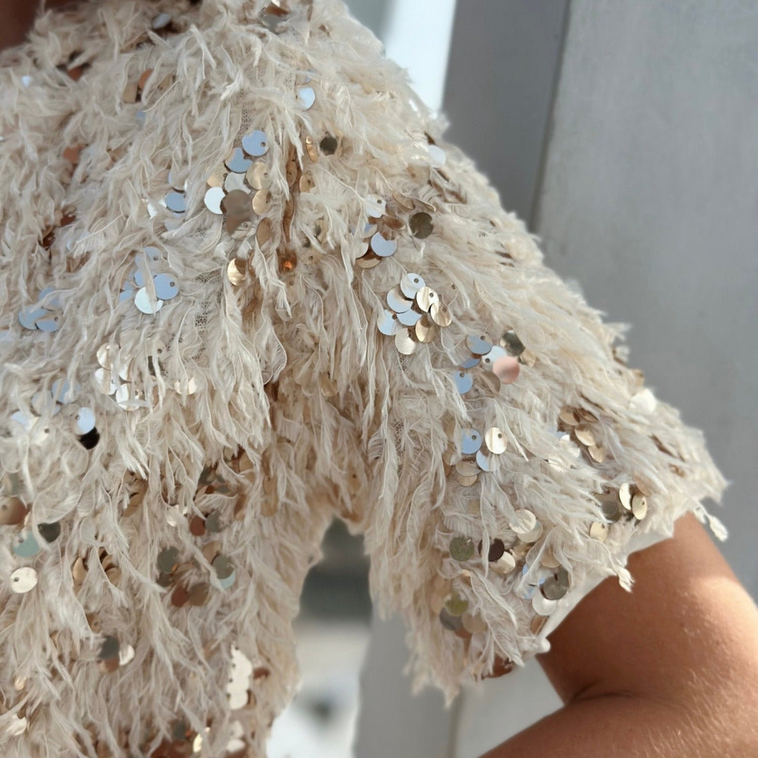 Stilvolle Paillettenbluse | Elegant